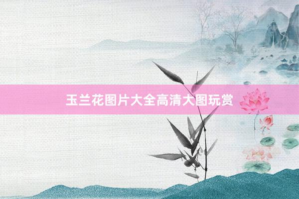玉兰花图片大全高清大图玩赏