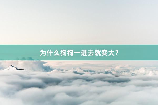 为什么狗狗一进去就变大？