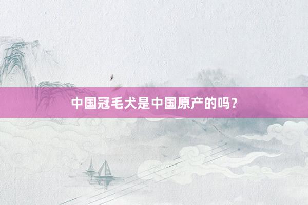中国冠毛犬是中国原产的吗？